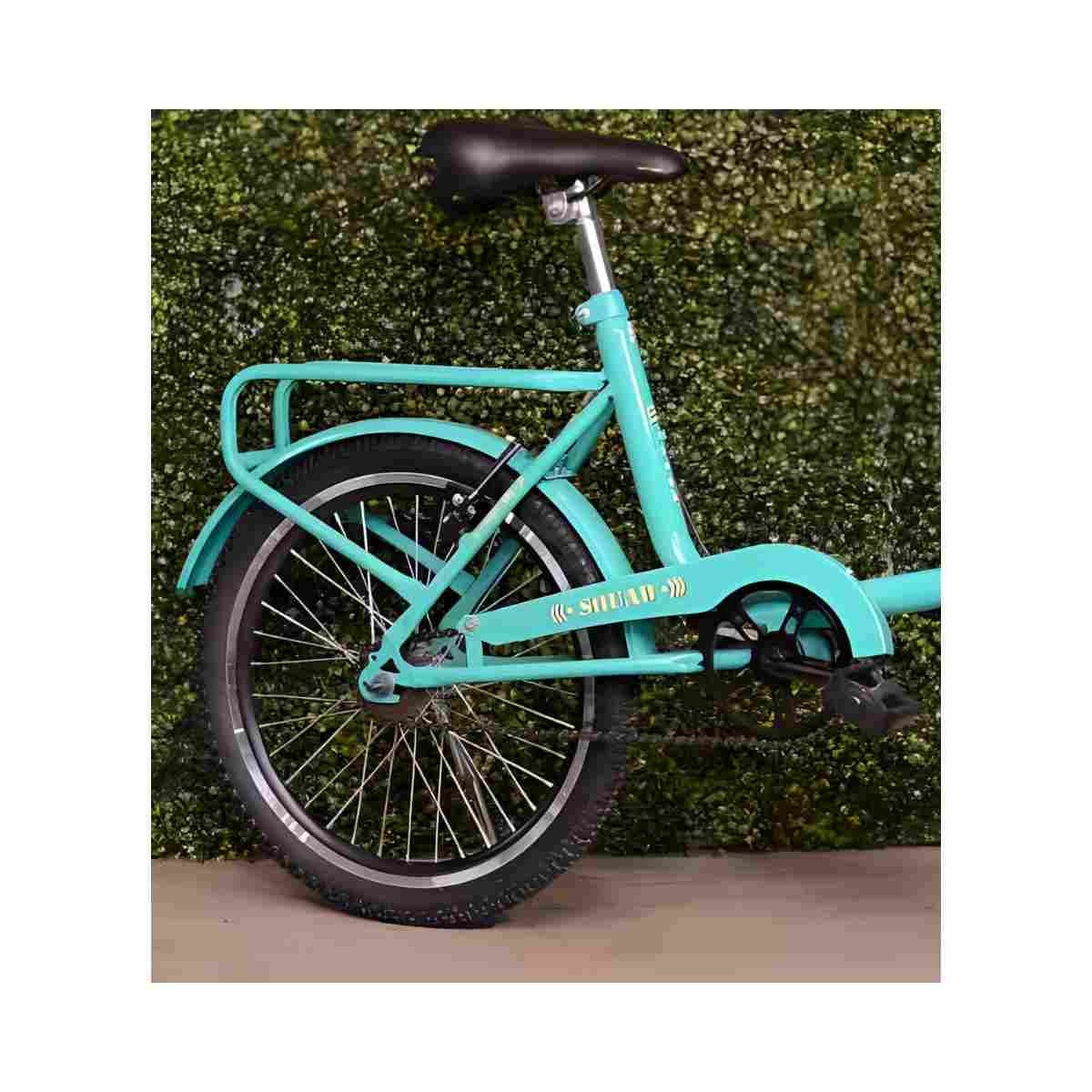 Bicicleta Aro 20 Garra7 Fenix Monareta