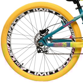 Bicicleta Aro 26 Viking Tuff-25 Single Freio Disco Hidráulico