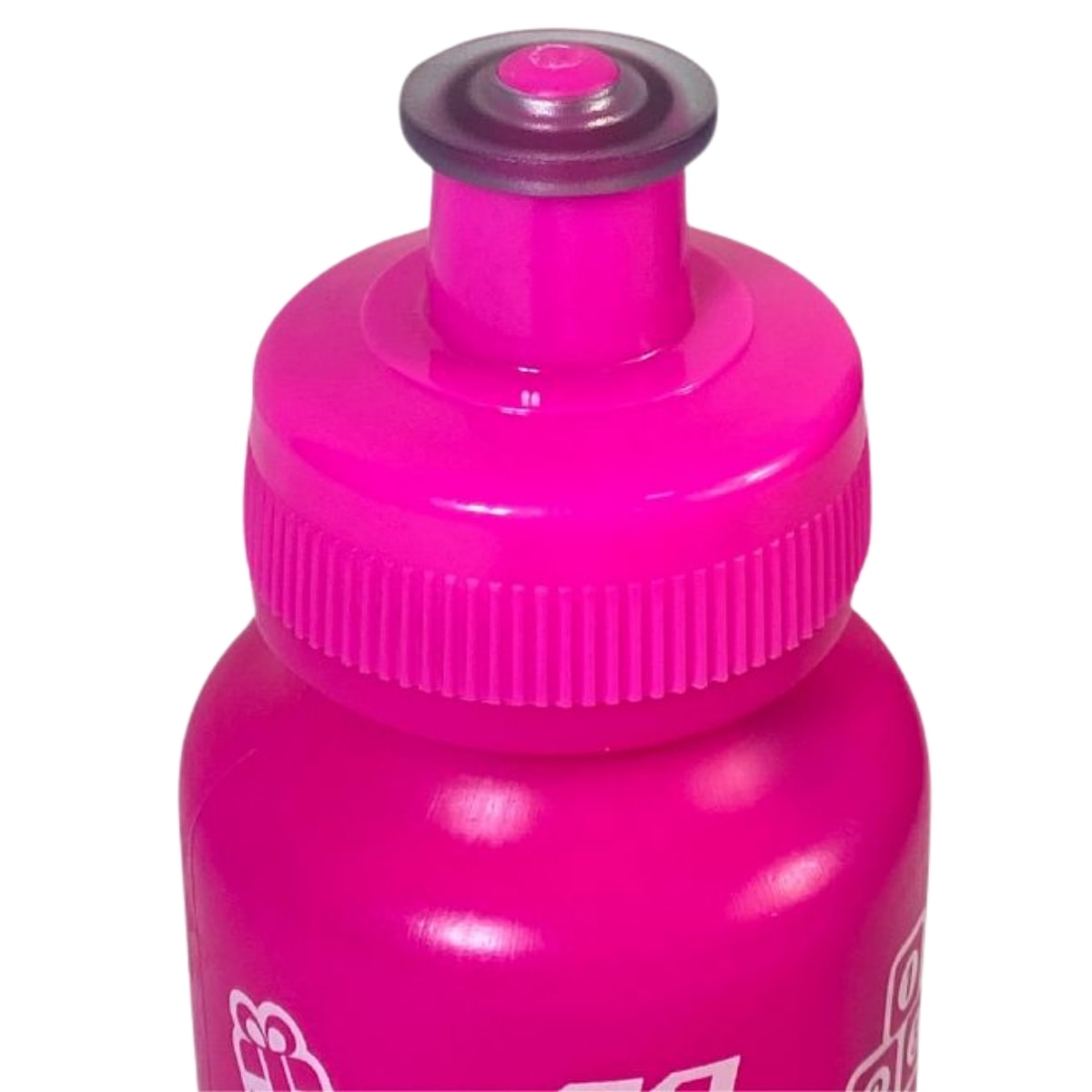 Garrafa Caramanhola Garra7 Toys 250ml