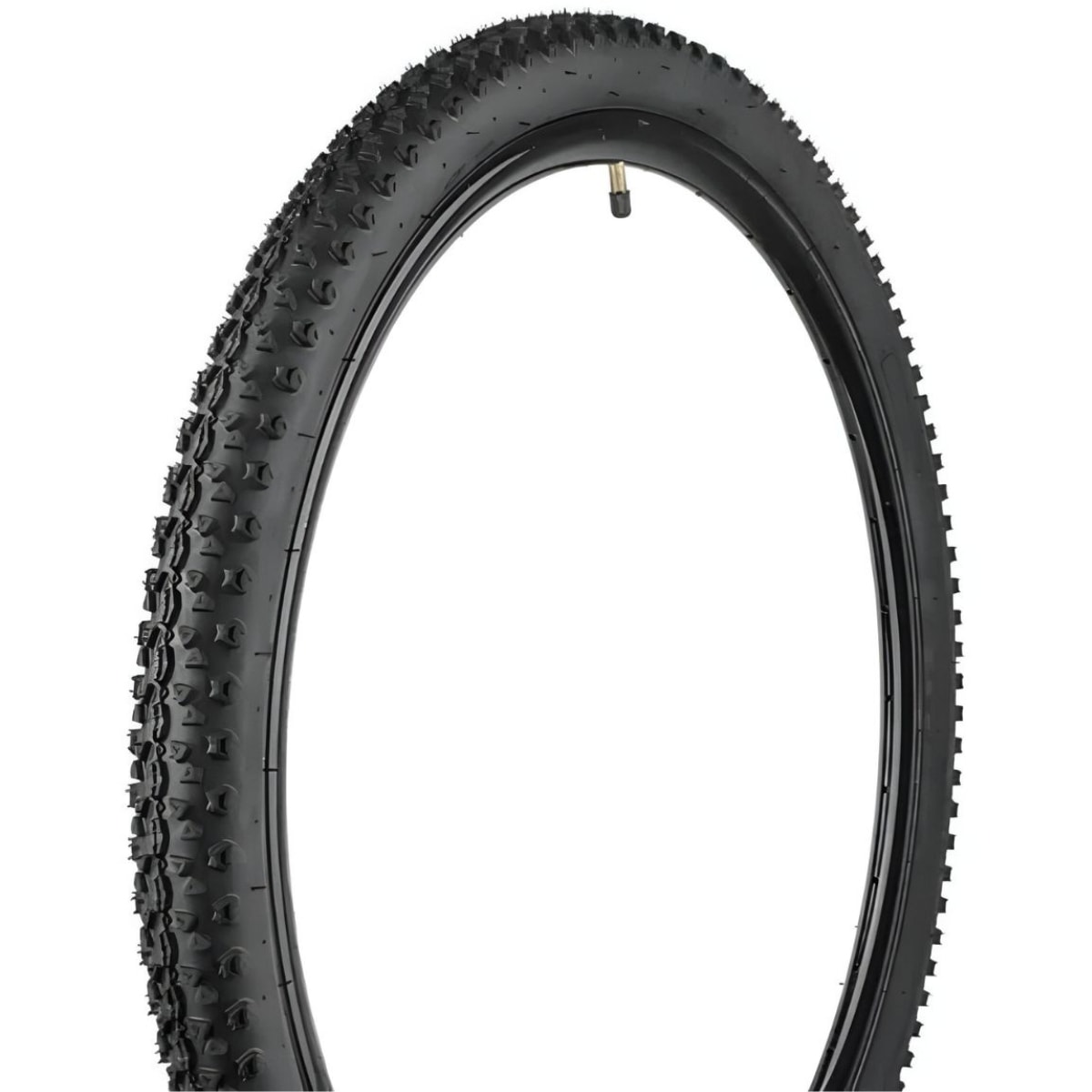 Pneu 29x2.10 DSI Beyond SRI 94