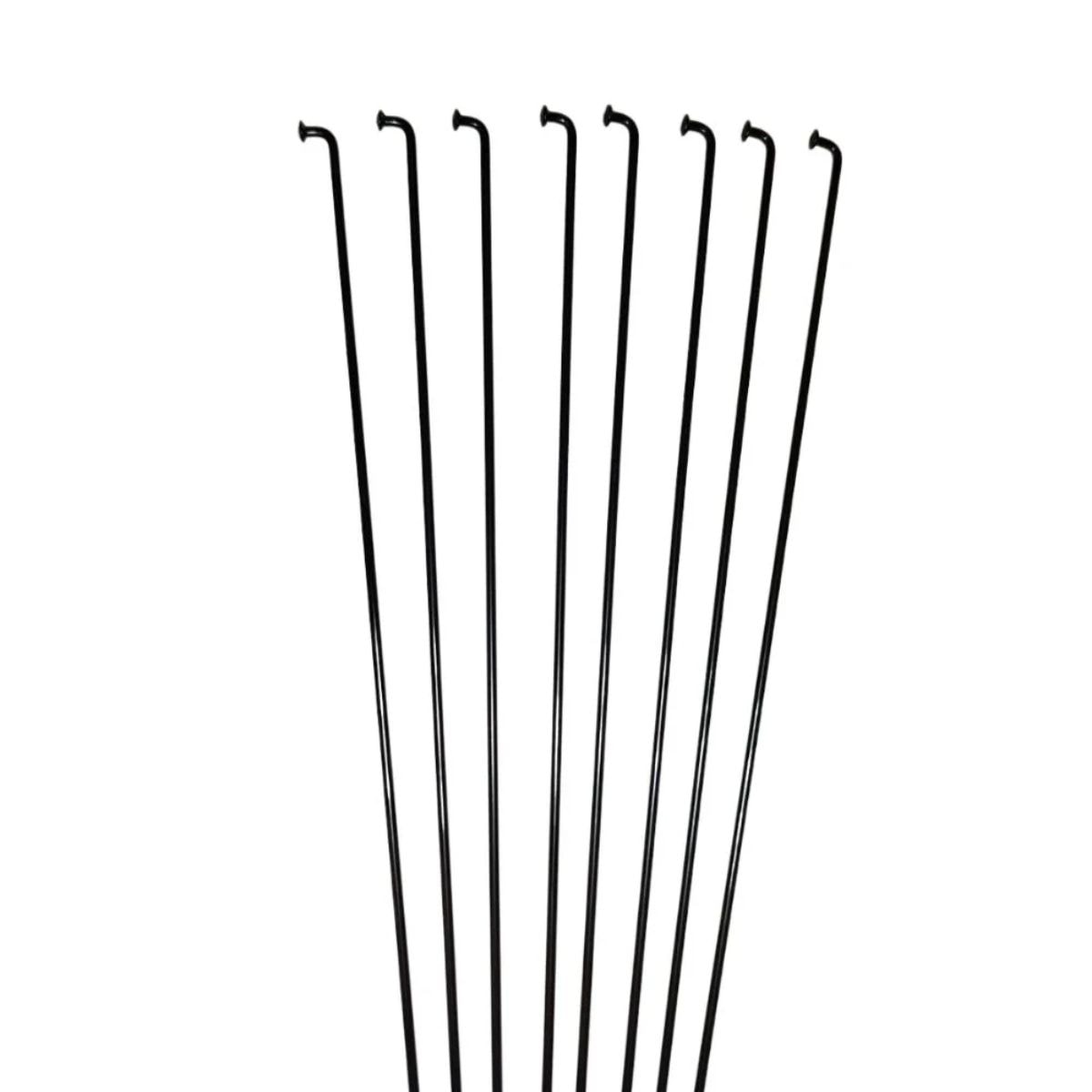 Raio Fino 295x2mm Inox Importado Preto 36 Raios