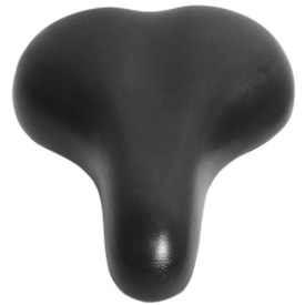 Selim Passeio Selle Royal Beach