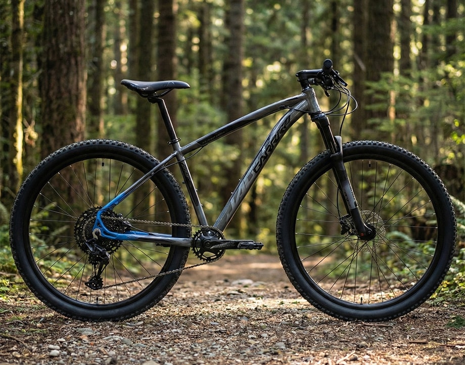 Bicicleta MTB (mountain bike) para uso misto, ruas ruins e trilhas leves